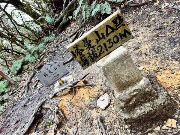 🌈4/13（日）（三）魔法森林-塔曼山~FB：熊熊趴爬走🌈2761329