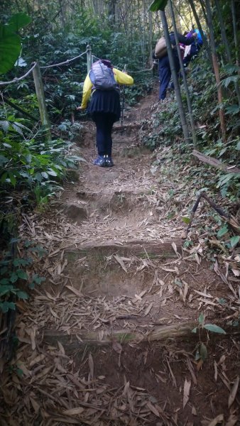 出關古道關刀山步道1584793