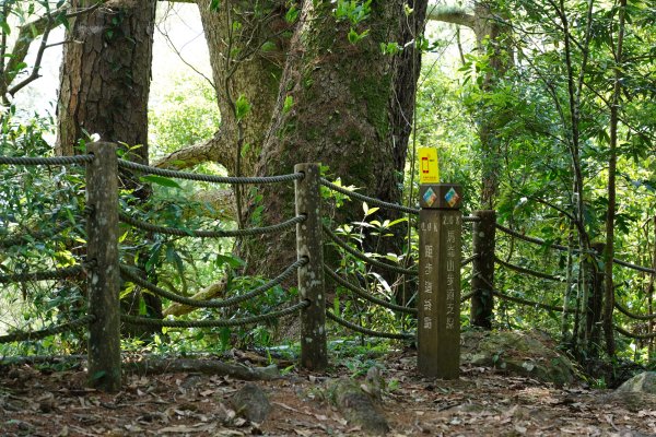 台中 和平 馬崙山2796990