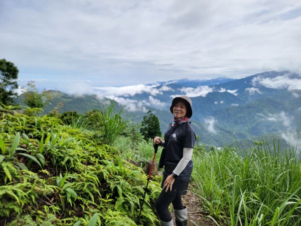 鵝公髻山採桃趣-202505302865281