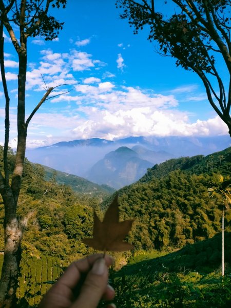 雲嘉連峰2365748