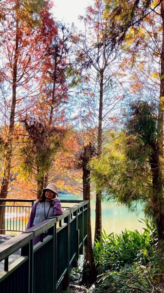 🌈12/21(日)落雨松紅了~日月潭環湖精華段✨FB：熊熊趴爬走🌈2967397