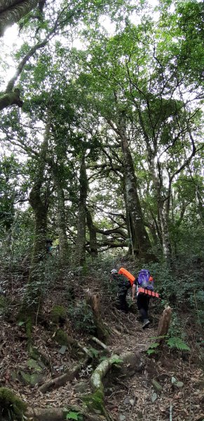 白姑大山之旅743410