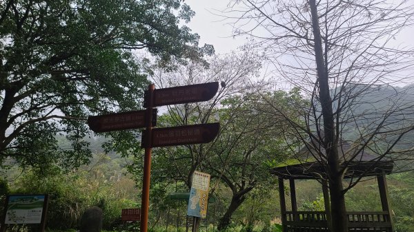 2025-01232淡蘭古道北二段(燦光寮古道到澳底)2696546