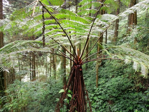 南投鹿谷~山野叢林不斷的陡上陡下~鳳凰山1098081