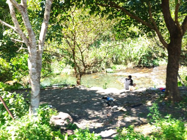 九寮溪自然步道2867208