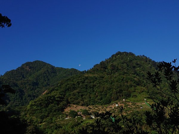 唐麻丹山2790143