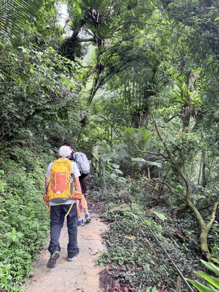 獨立山奉天岩健行趣（雲霧山林間的悠閒時光）   2026.7.303096361