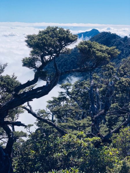 我的第一座百岳⋯北大武單攻502816