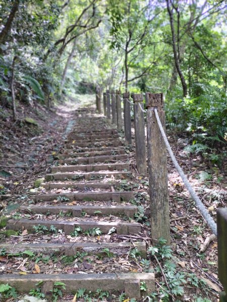 鵝角格山、銀河洞越嶺道2249546