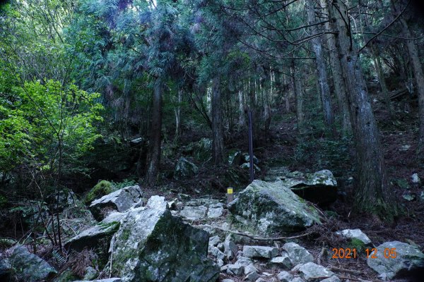 苗栗 泰安 榛山步道、榛山1540242