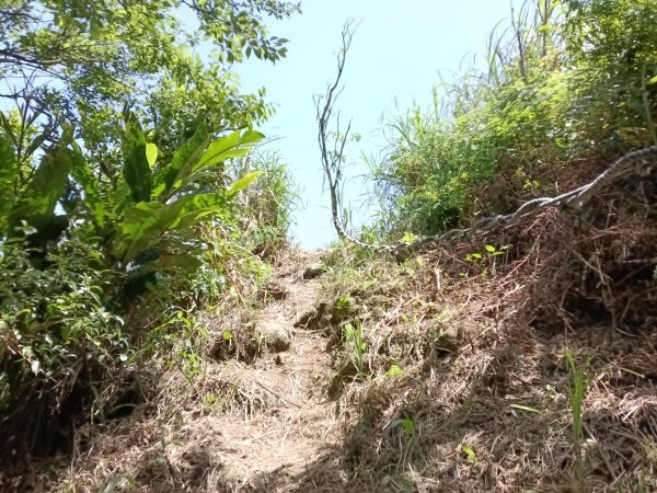 雙溪區不厭亭+牡丹山+樹梅坪+鷹石岩山神廟+不厭亭+奉憲示禁碑+三貂崙+不厭亭8字走2766301