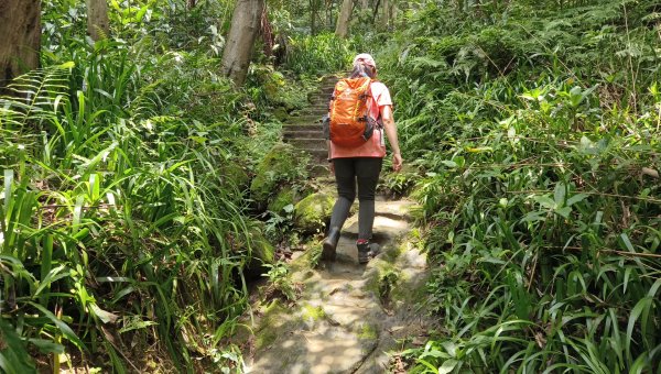 (姨婆趴趴走)第十集:攀登新北鶯歌蛋山，鶯歌郊山步道群縱走(二)2167973