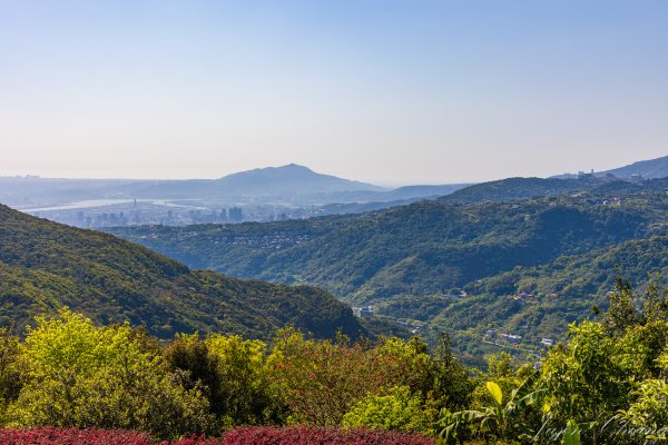 [台北]大崙頭山、碧山巖、忠勇山2746166