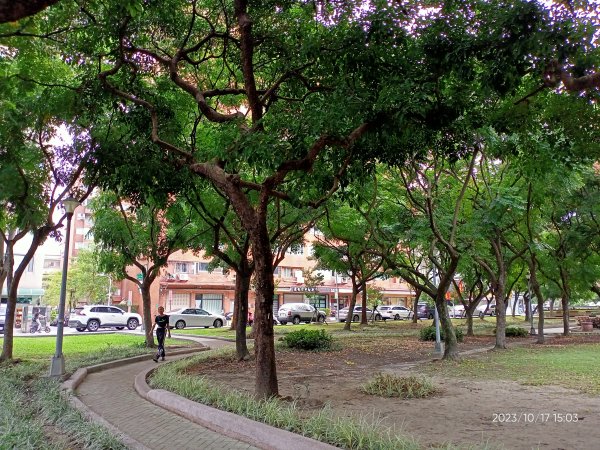 內湖港富廣場、瑞陽公園、文德三號公園、大港墘公園【走路趣尋寶、健康大穀東】2320114