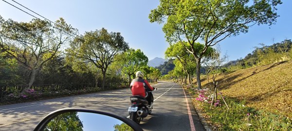 2026/03/18 加里山+大坪山 O型3019997