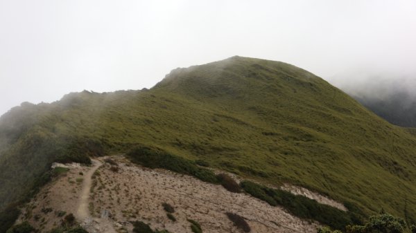 奇萊主山登山健行趣(百岳20號)2289994