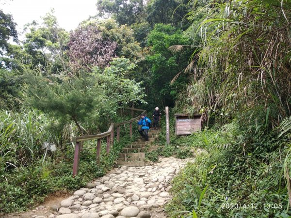 台南第一高峰:關子嶺大凍山915634