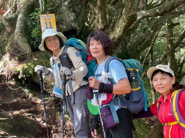 加里山P縱202506222818629