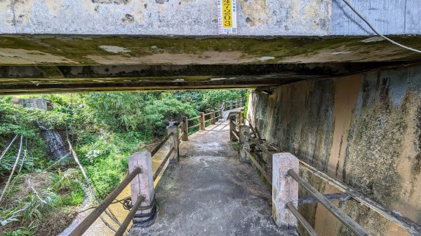 龜媽坑古道,雪山尾稜南段,草嶺古道2354615