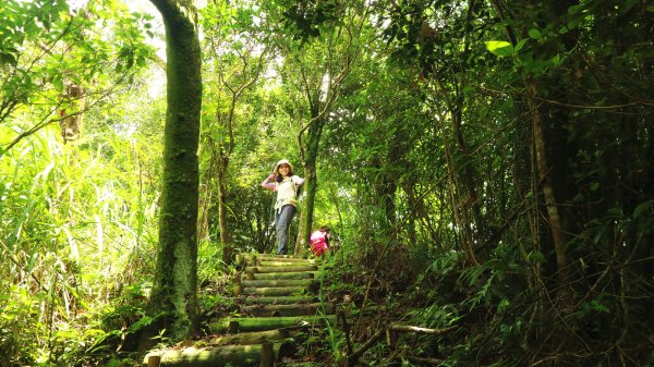 【淡蘭中路】翻山越嶺的茶商之道981270