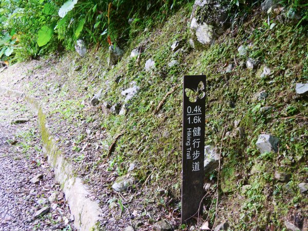 三峽滿月圓國家森林步道1053581