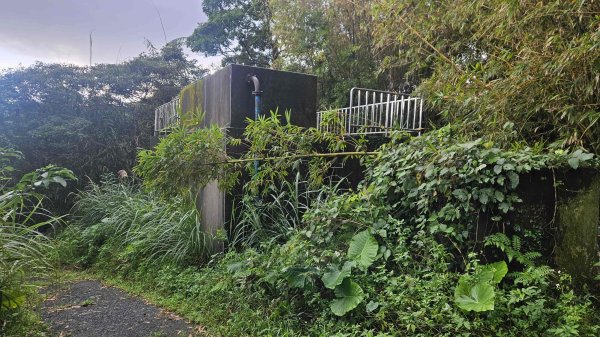 20251107大路崁登山步道-磺溪頭清水園區2930786