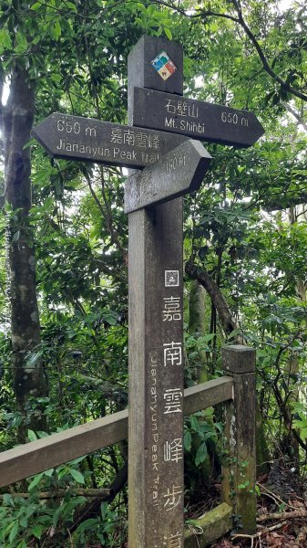 《雲林》望好望角｜石壁山嘉南雲峰步道(中側登山口）202506072805366