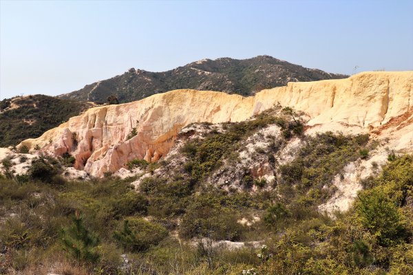 HK - 青山復地1482572