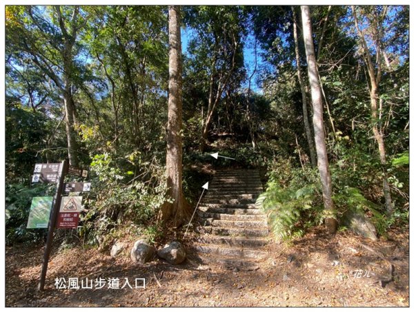 松風山 ( 惠蓀林場 )3047373