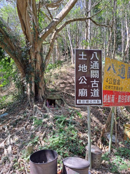 竹山八通關古道社寮段+陳東坑山+溪洲大山ｄ型走202302192037434