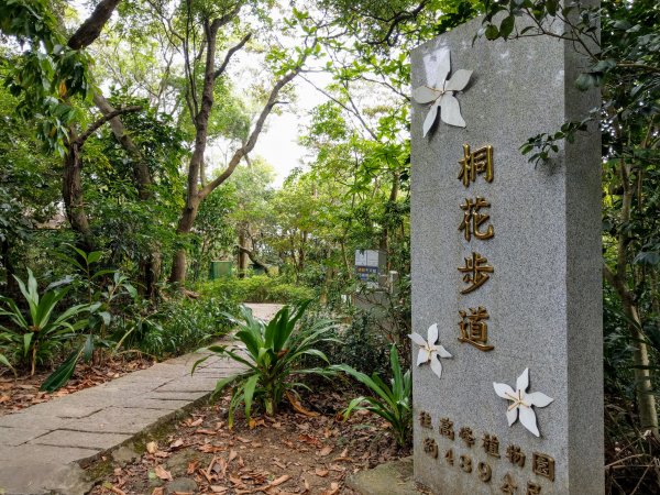 再訪十八尖山(小百岳#26)都會公園踏青943288