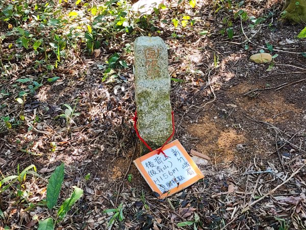 20250114石井山、榴子坑山、後脊山、龍頂山2728606