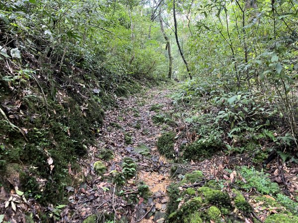 [淡蘭古道] 2025_0802 南路第四段2850896