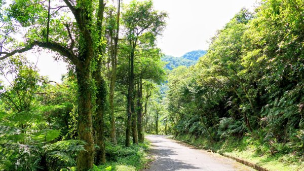 南勢坑小尖,大尖2816052