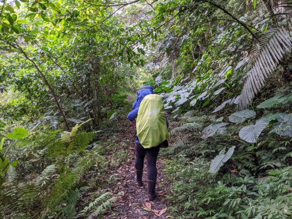 露門山路門1321434