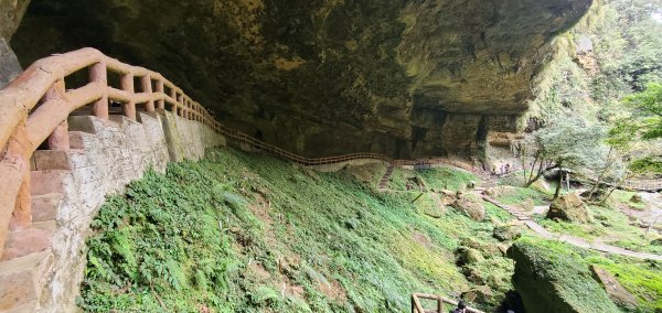 2023-01-01杉林溪青龍蕨類步道(青龍瀑布)、松瀧岩瀑布及天地眼步道1978883