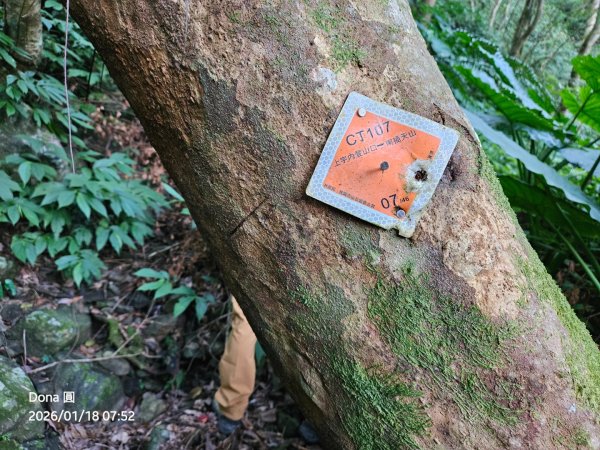 南插天山.魯培山.上宇內山(南插北峰)2989747