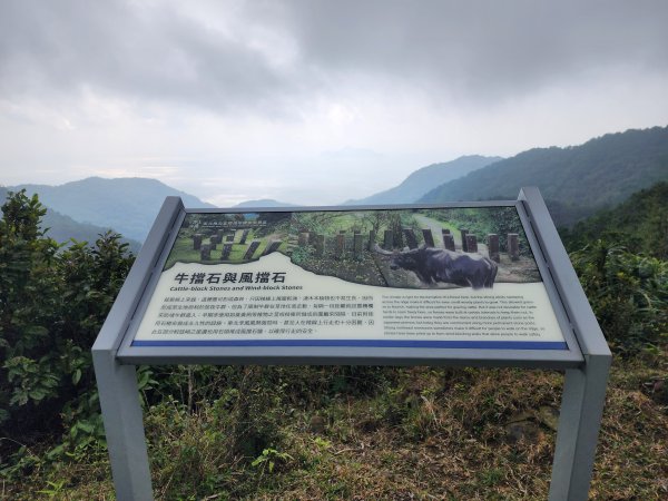 小百岳No.82⛰灣坑頭山3003068