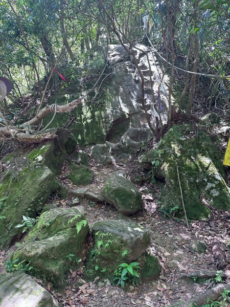 平溪小黃山2873262