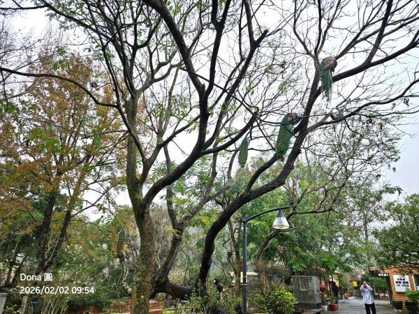 20260202徒步明德水庫大環湖2992468