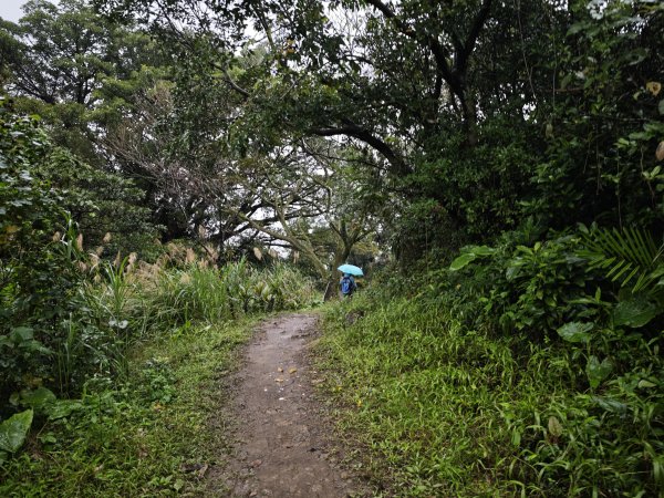 2026_0131 獅球嶺中央砲台2997618