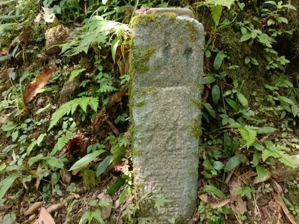 雙溪區北勢溪古道+畚箕湖古道+三層巷古道+北勢溪古道P字走2909479