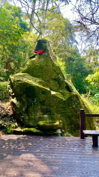 龍麟山登山步道2730746