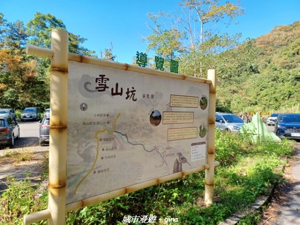 【台中和平】生態廊道。 雪山坑環線步道x巨人之手觀景點2953998