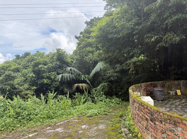 [樟之細路_第二大段RSA23] 2026_0823 茶亭古道3121947