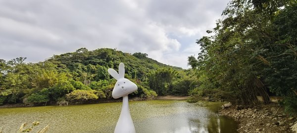 2024/12/28-蓮華山古道群：飛龍步道、進香古道、採茶古道、載熙古道2678893