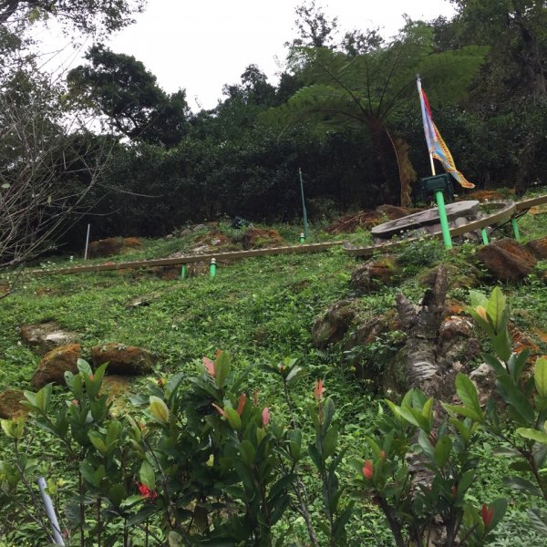 北縱七段抓了10隻博蒂742210