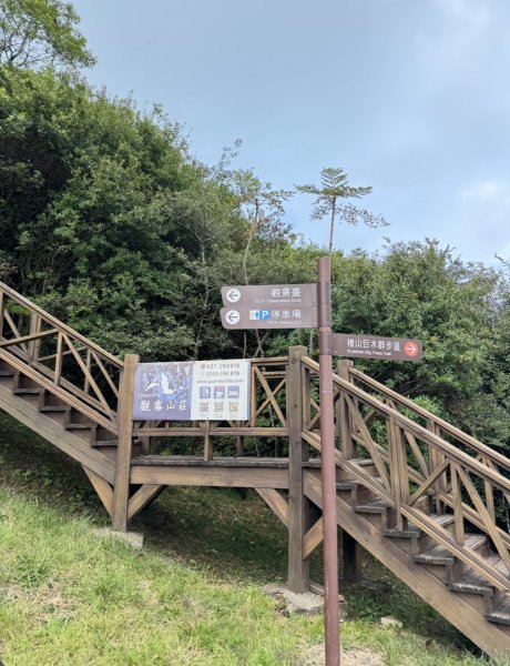 觀霧-檜山巨木群步道2925592