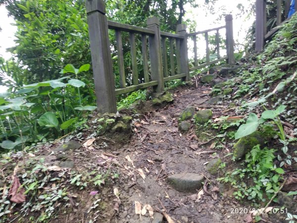 步道巡訪員 l 崁頭山步道巡訪員8月份巡禮1054222